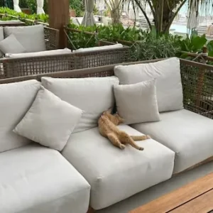 balcony sofa with textured outdoor fabric upholstery in compact space.