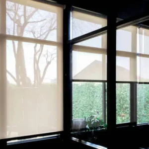 Sunscreen roller blinds in an office reducing glare and heat