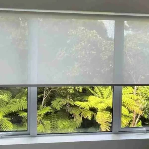 Sunscreen roller blinds installed on large windows for sun control