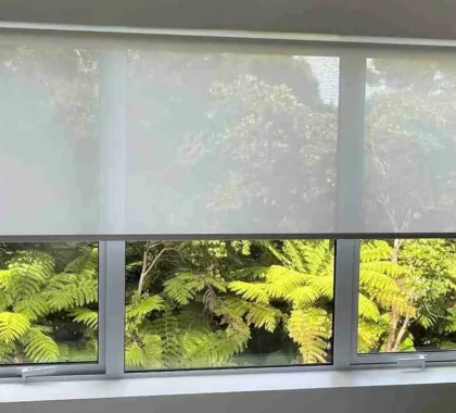Sunscreen roller blinds installed on large windows for sun control