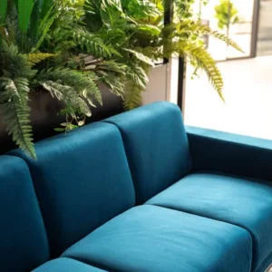teal upholstered modern sofa placed near indoor plants in a bright living room.