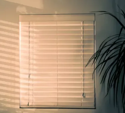 White roller blinds in a living room creating a bright and clean look